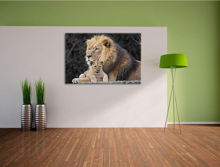 prächtiger Löwe kuschelt mit kleinem Jungtier schwarz/weiss Format: 100x70auf Leinwand, XXL riesige