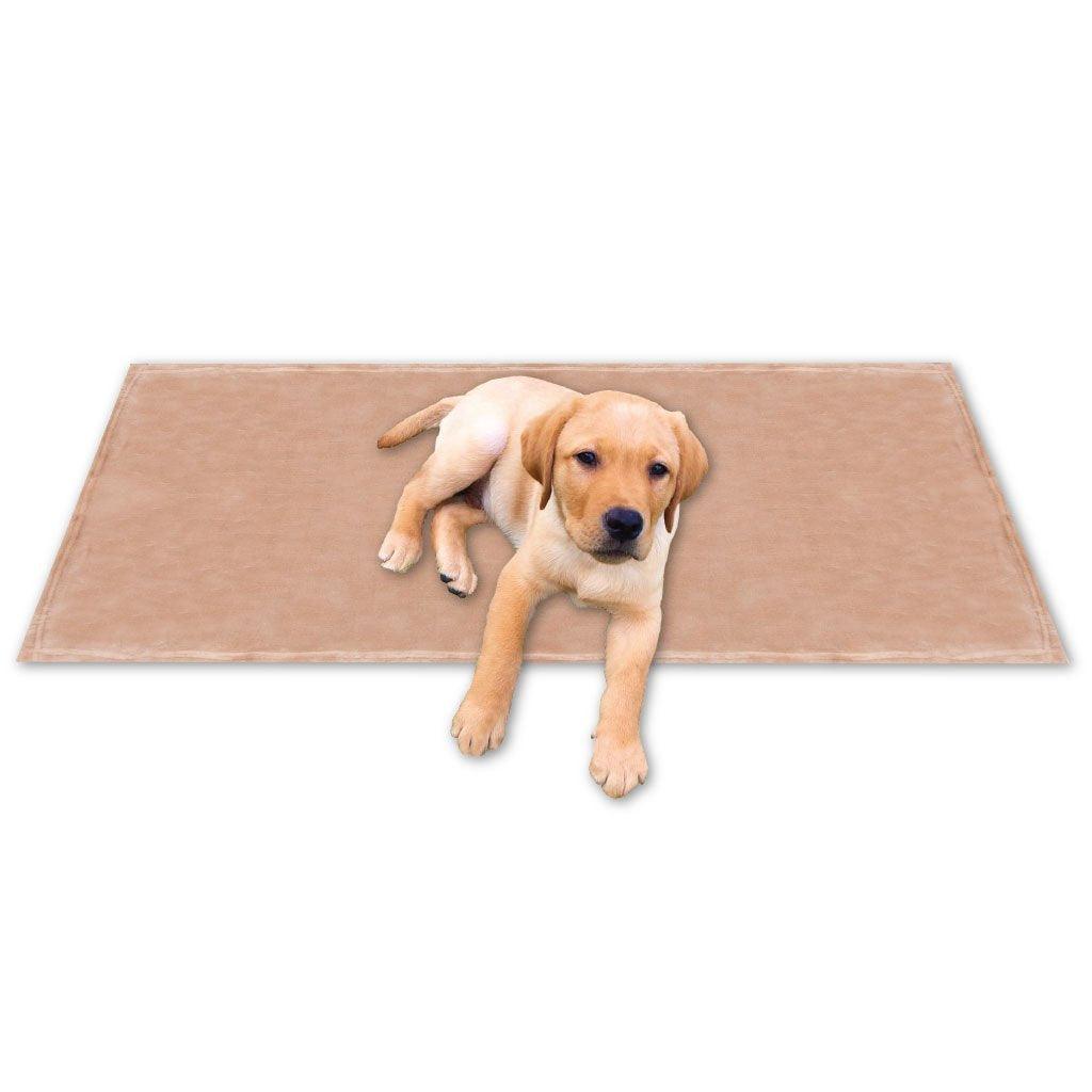 Bestgoodies Tierdecke Haustierdecke Kuscheldecke Hundebett Katzendecke (Kuschel - Supersoft / 90x140