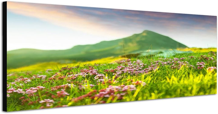 Paul Sinus Art Panoramabild auf Leinwand und Keilrahmen 150x50cm Wiese Blumen Berge Frühling Natur