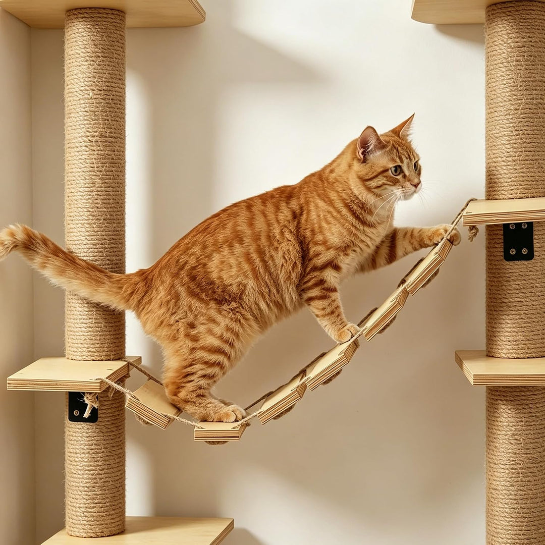 Kletterwand Katze Set, Kletterwand Katzen, Katzenzubehör Mit Plattform, Wandbrücke, Katzenbrücke Und