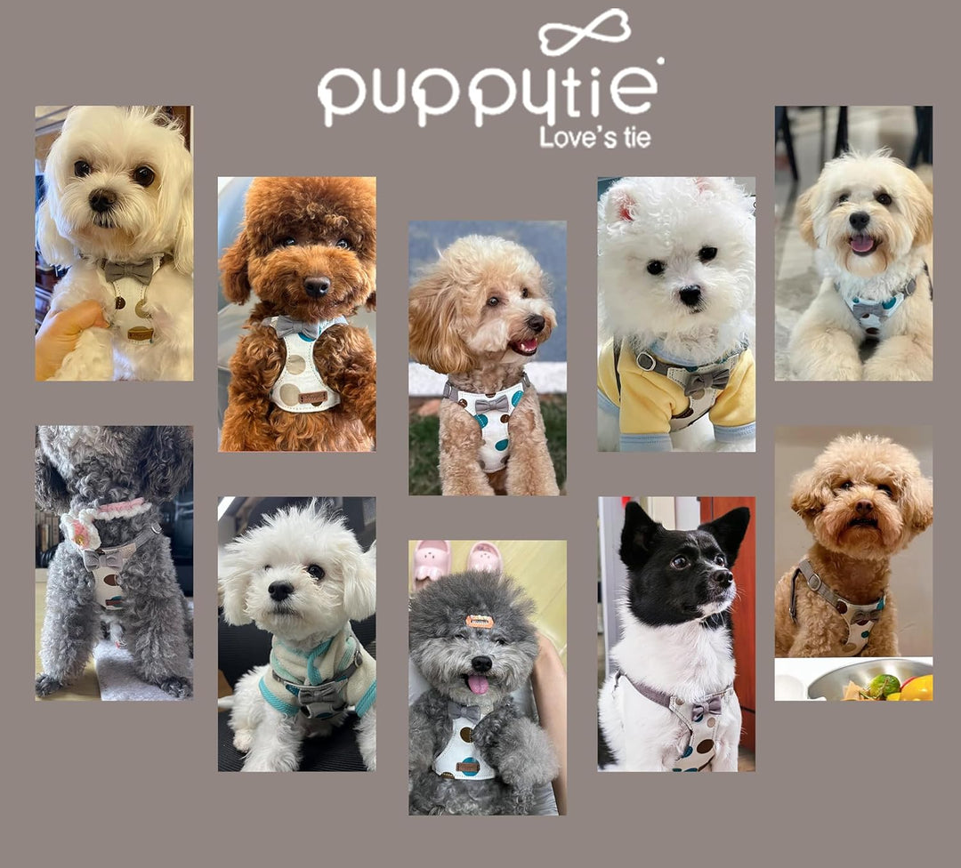 Puppytie Hundegeschirr für kleine Hunde mit Multifunktions-Hundeleine, leicht, weich, verstellbar, k
