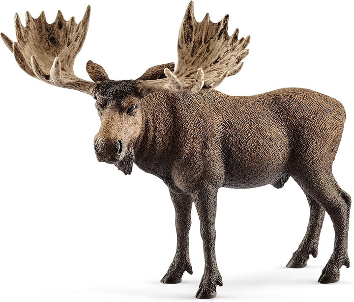 SCHLEICH 14781 Elch Bulle, für Kinder ab 3+ Jahren, WILD Life - Spielfigur alte Version, alte Versio