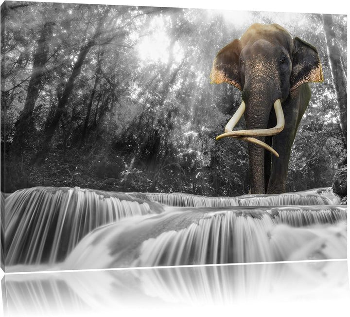 riesiger Elefant am Bach schwarz/weiss Format: 100x70 auf Leinwand, XXL riesige Bilder fertig gerahm