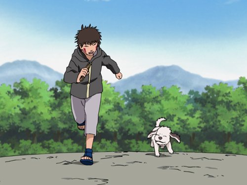 Naruto, Staffel 5: Mission: Rettet Sasuke (Episoden 107-135, uncut) [5 DVDs], DVD