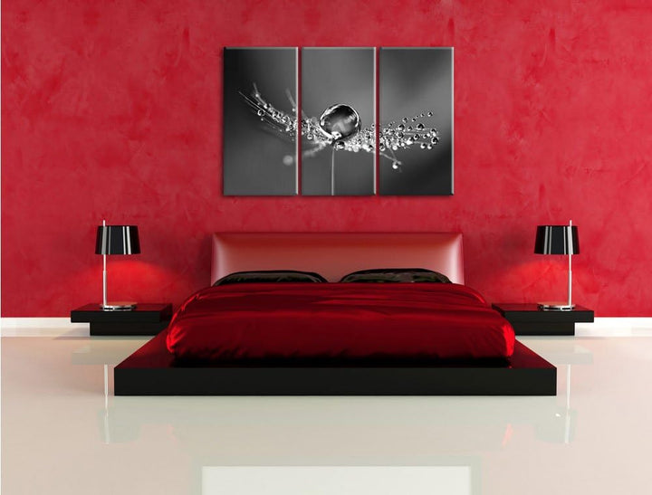 Pixxprint Wassertropfen auf Einer Pusteblume / 3-Teilig/Gesamtmass 120cm Leinwandbild bespannt auf H