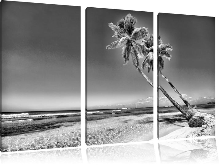 Pixxprint Monocrome, Palmen am Strand 3-Teiler Leinwandbild 120x80 Bild auf Leinwand
