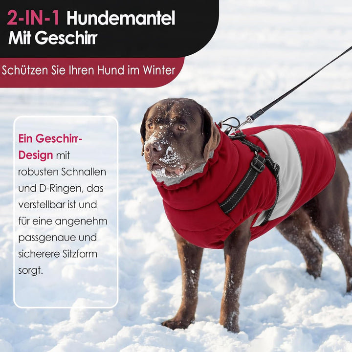 AOFITEE Hundejacke Mittelgrosse Hunde, Winter Wasserdicht Hundejacke Hundemantel mit Geschirr, Warme