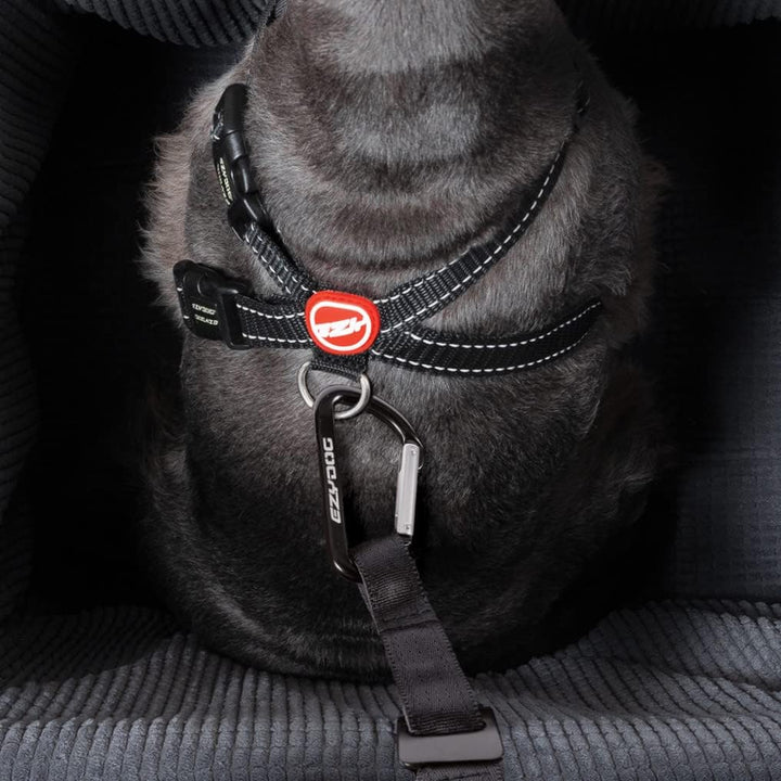 EzyDog Drive Booster Hundesitz Auto & Sitzerhöhung - Verstärkter Autositz für Kleine und Mittlere Hu