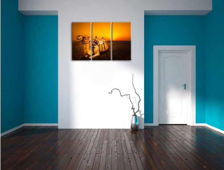 Pixxprint Kamel bei Sonnenuntergang in Ägypten 3-Teiler Leinwandbild 120x80 Bild auf Leinwand