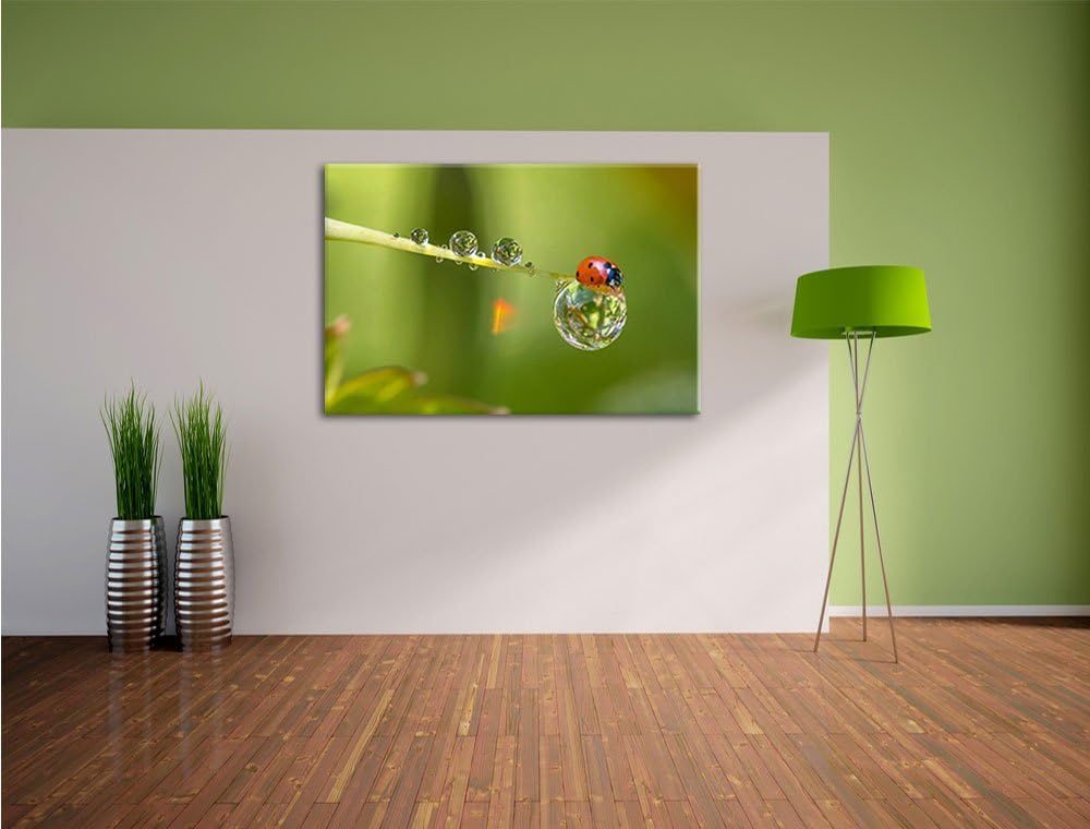 Pixxprint Marienkäfer Wassertropfen als Leinwandbild/Grösse: 100x70 cm/Wandbild/Kunstdruck/fertig be