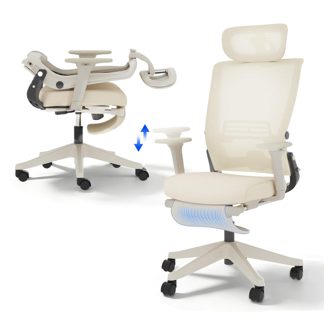 FLEXISPOT Ergonomischer Bürostuhl, Foldex, klappbarer Bürostuhl für Kleine Räume mit Lendenwirbelstü