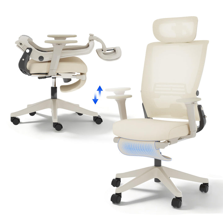 FLEXISPOT Ergonomischer Bürostuhl, Foldex, klappbarer Bürostuhl für Kleine Räume mit Lendenwirbelstü