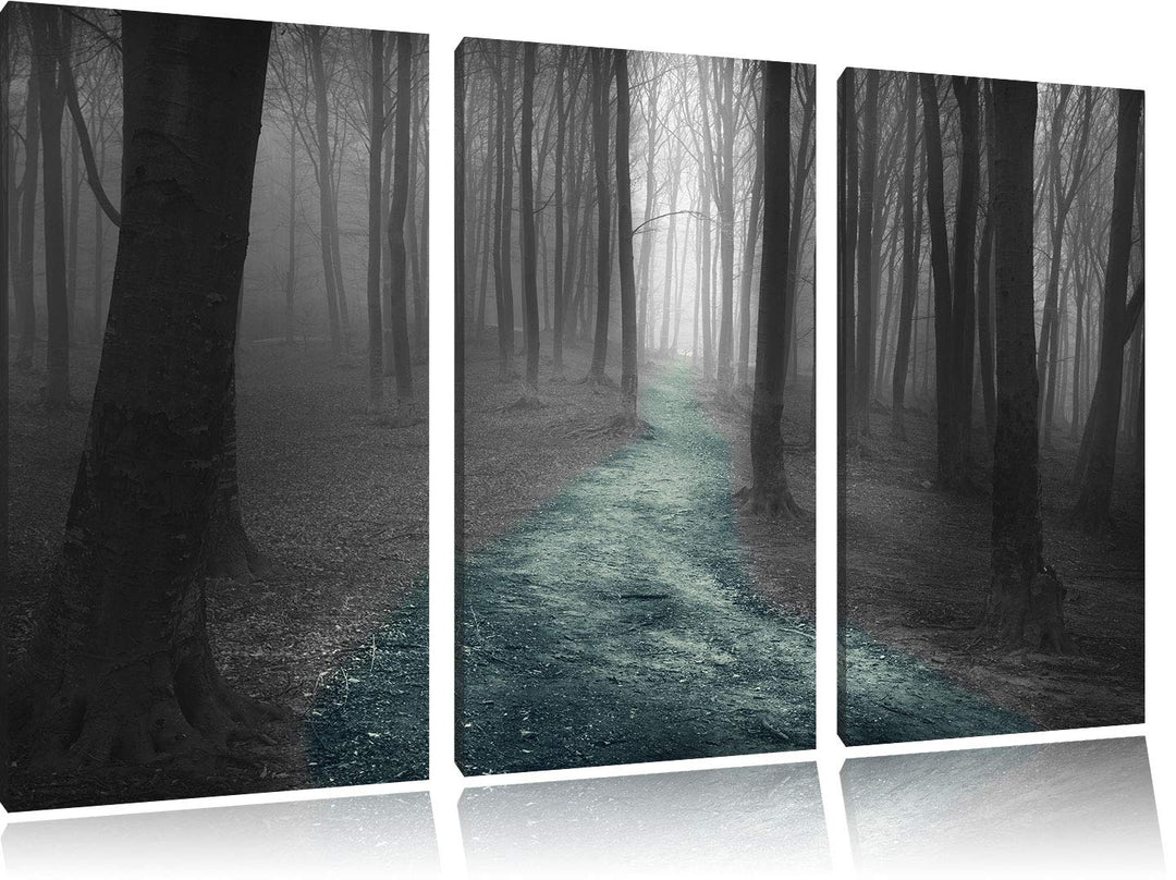 Pixxprint Einsamer Weg im Wald als Leinwandbild | Grösse: 3 Teilig (120x80) | Wandbild| Kunstdruck |