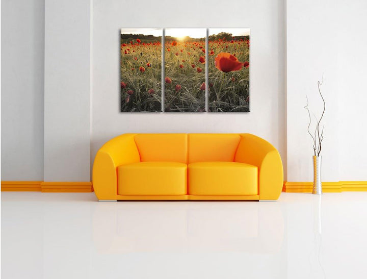 Pixxprint Traumhaftes Mohnfeld bei Sonnenuntergang Schwarz/Weiss 3-Teiler Leinwandbild 120x80 Bild a
