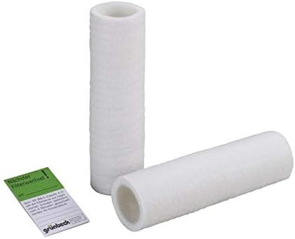 Grünbeck Ersatzfilter für Wasserfilter FS 1" 2er Pack (80 µm ohne Schutzglocke) *** (Filterhülse Vli