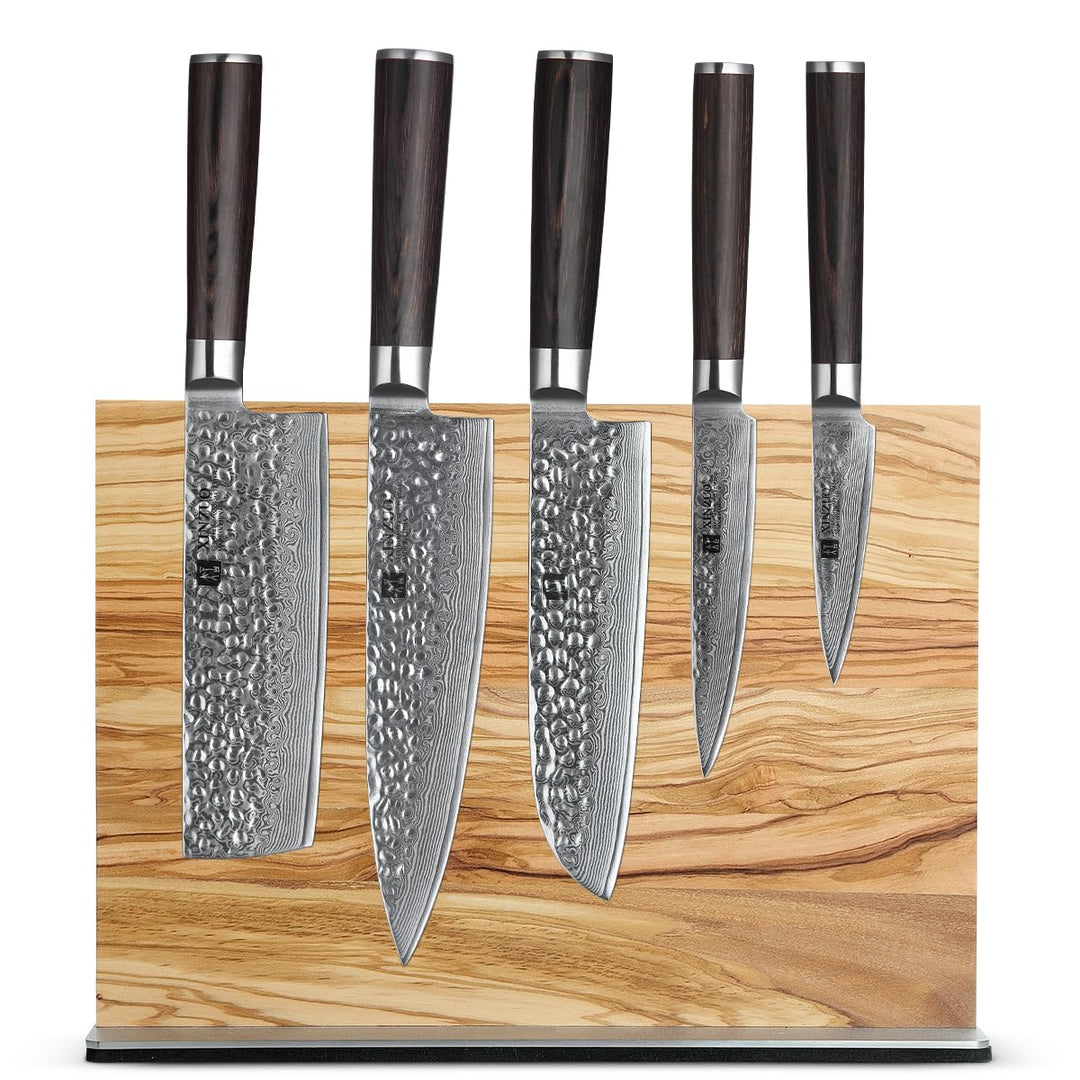 XINZUO 67 Schichten Damaststahl 5-Teilig Kochmesser Set-Pakkaholz Griff mit Olivenholz Messerhalter