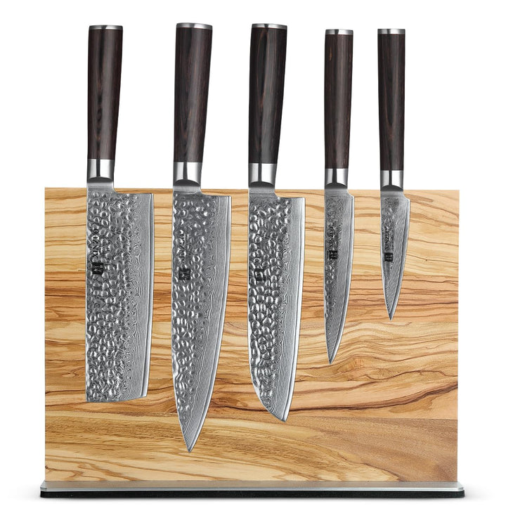 XINZUO 67 Schichten Damaststahl 5-Teilig Kochmesser Set-Pakkaholz Griff mit Olivenholz Messerhalter
