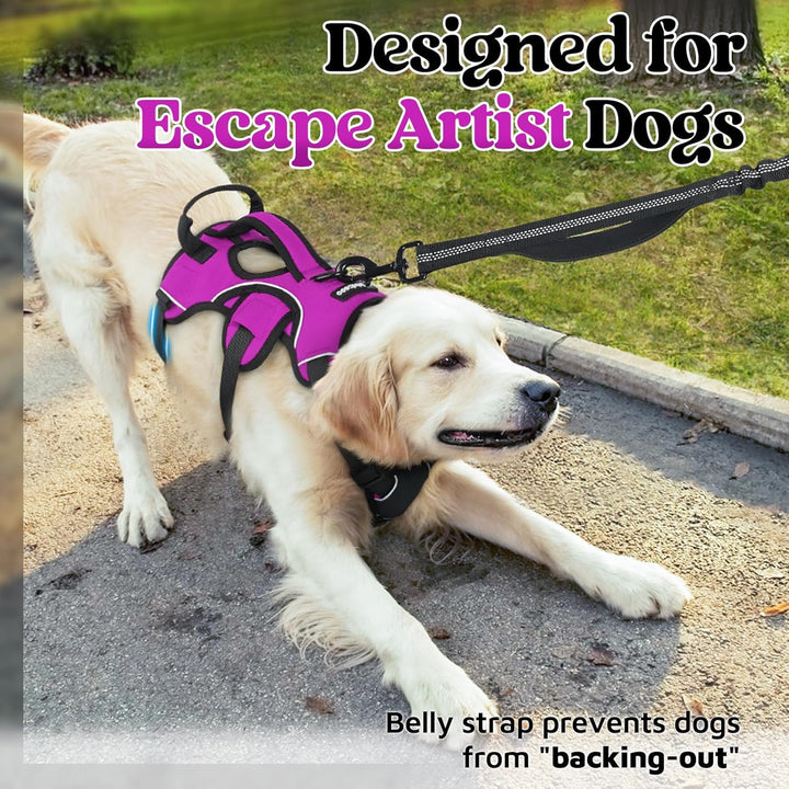 rabbitgoo Ausbruchsichere Hundegeschirr Grosse Hunde mit Griff, Anti Zug Sicherheitsgeschirr Hund At