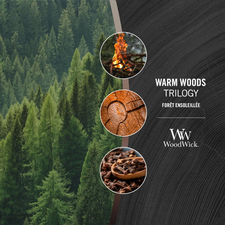 Millefiori Mittelgrosse WoodWick Trilogy-Duftkerze im Sanduhrglas mit Pluswick-Innovation, Warm Wood