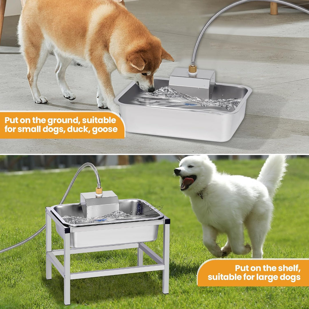Automatischer Hundewasserspender für Grosse Hunde, Erhöhter Hundewassernapf mit Ständer, 11L Edelsta