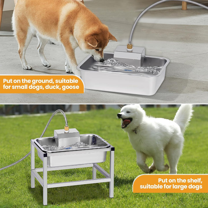 Automatischer Hundewasserspender für Grosse Hunde, Erhöhter Hundewassernapf mit Ständer, 11L Edelsta