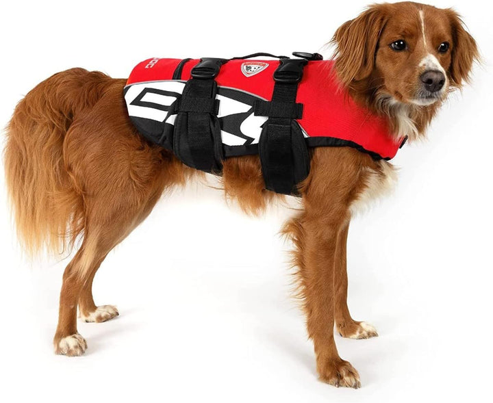 EzyDog DFD Schwimmweste Hund - Hundeschwimmweste - Schwimmwesten für Hunde - Grössenverstellbar mit