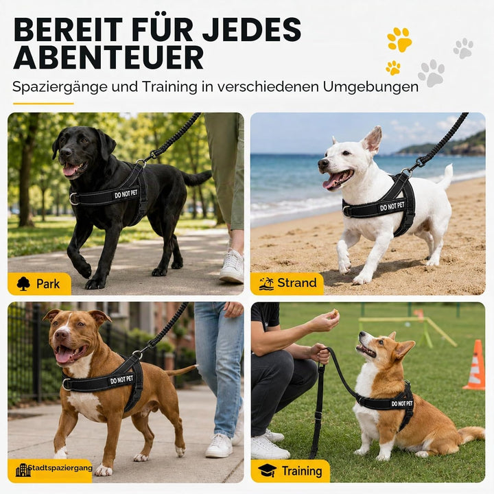 Anti Zug Hundegeschirr mit Leine, Sicheres Brustgeschirr für Leine für grosse mittelgrosse Hunde mit