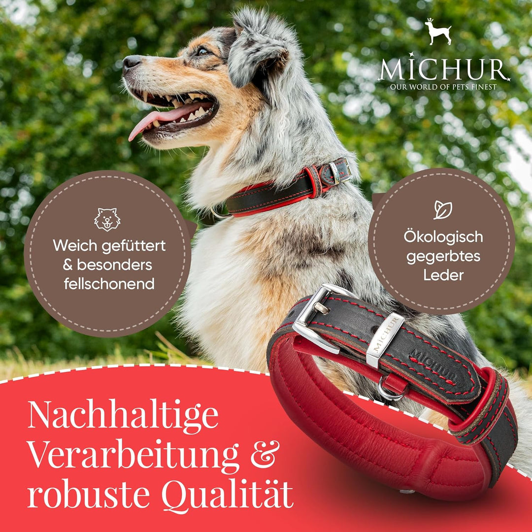 Michur Minimo Rot Hundehalsband Leder, Lederhalsband Hund, Halsband, Rot-Schwarz, Leder, in verschie