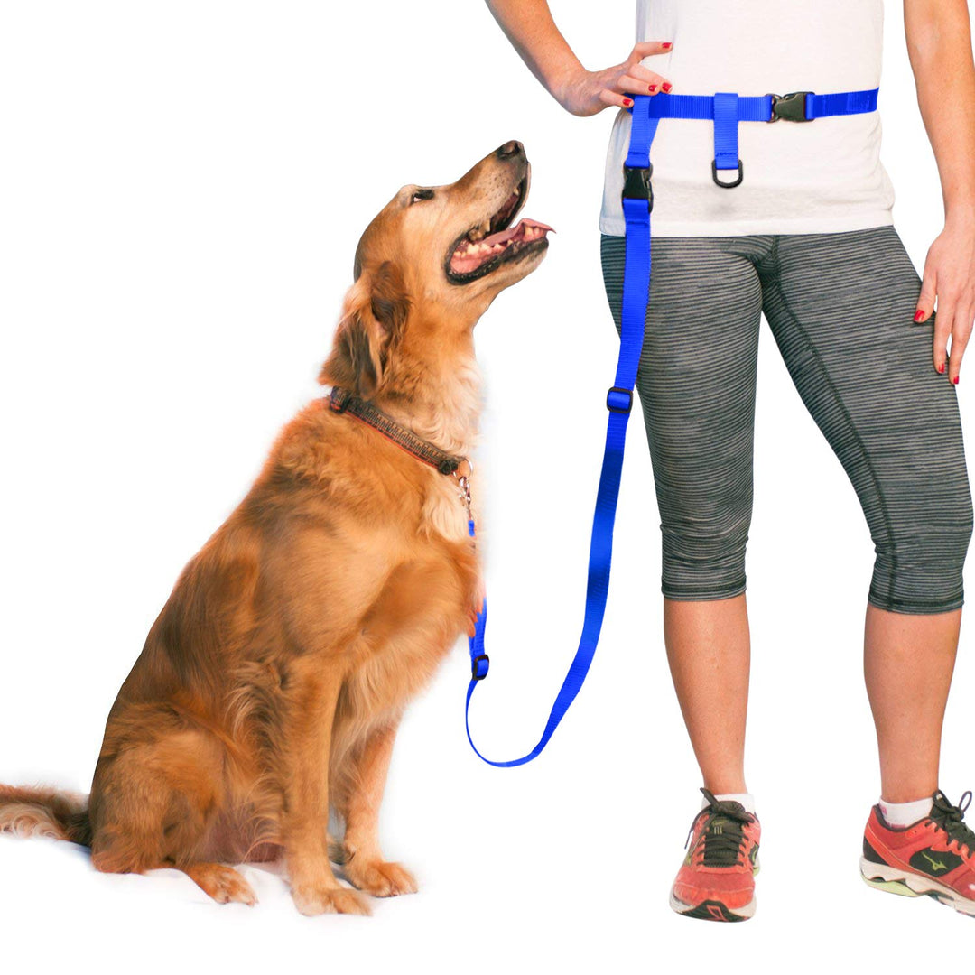 The Buddy System Hundeleine, verstellbare Leine zum Laufen, Joggen, Training und Diensthunde, ideal