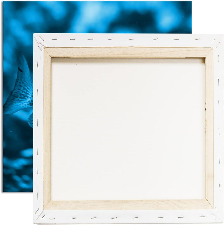 deyoli Kleiner Gepunkteter Fisch im Meer Format: 70x70 Effekt: Monocrome Blau als Leinwandbild, Moti