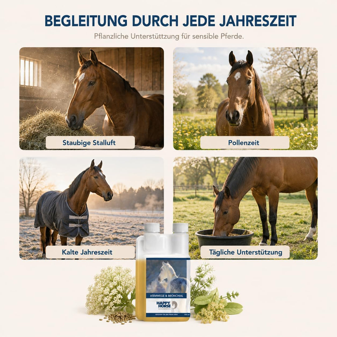Happy Horse Atemwege- &amp; Bronchialsaft für Pferde 100% pflanzliche Inhaltsstoffe, lindert Hustenreiz,