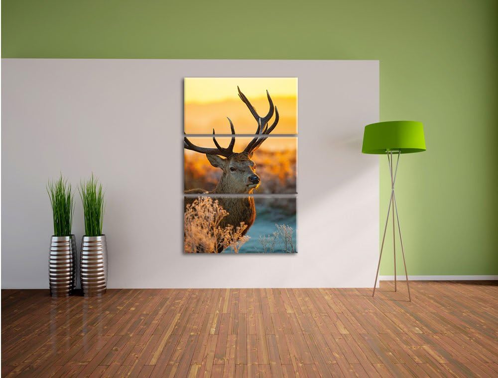 Pixxprint Stolzer Hirsch auf Wiese als Leinwandbild/Grösse: 3 Teilig (120x80) cm/Wandbild/Kunstdruck