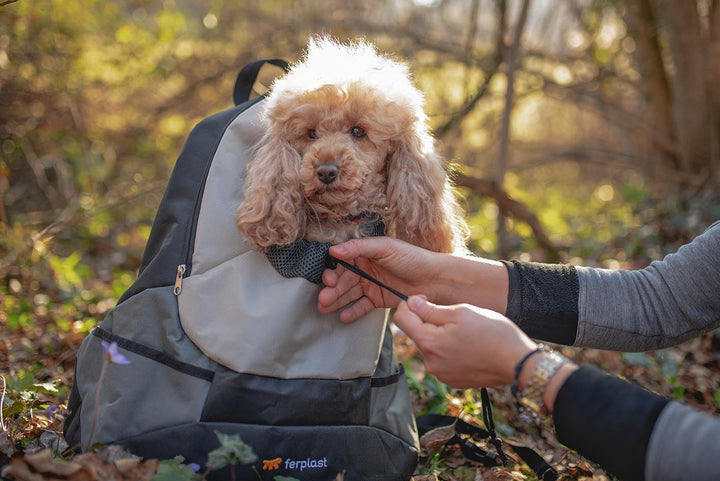 Ferplast Zaino per Cani KANGOO, Trasportino Gatto, Zaino per Gatti, Ampia Apertura, Cinghia di sicur