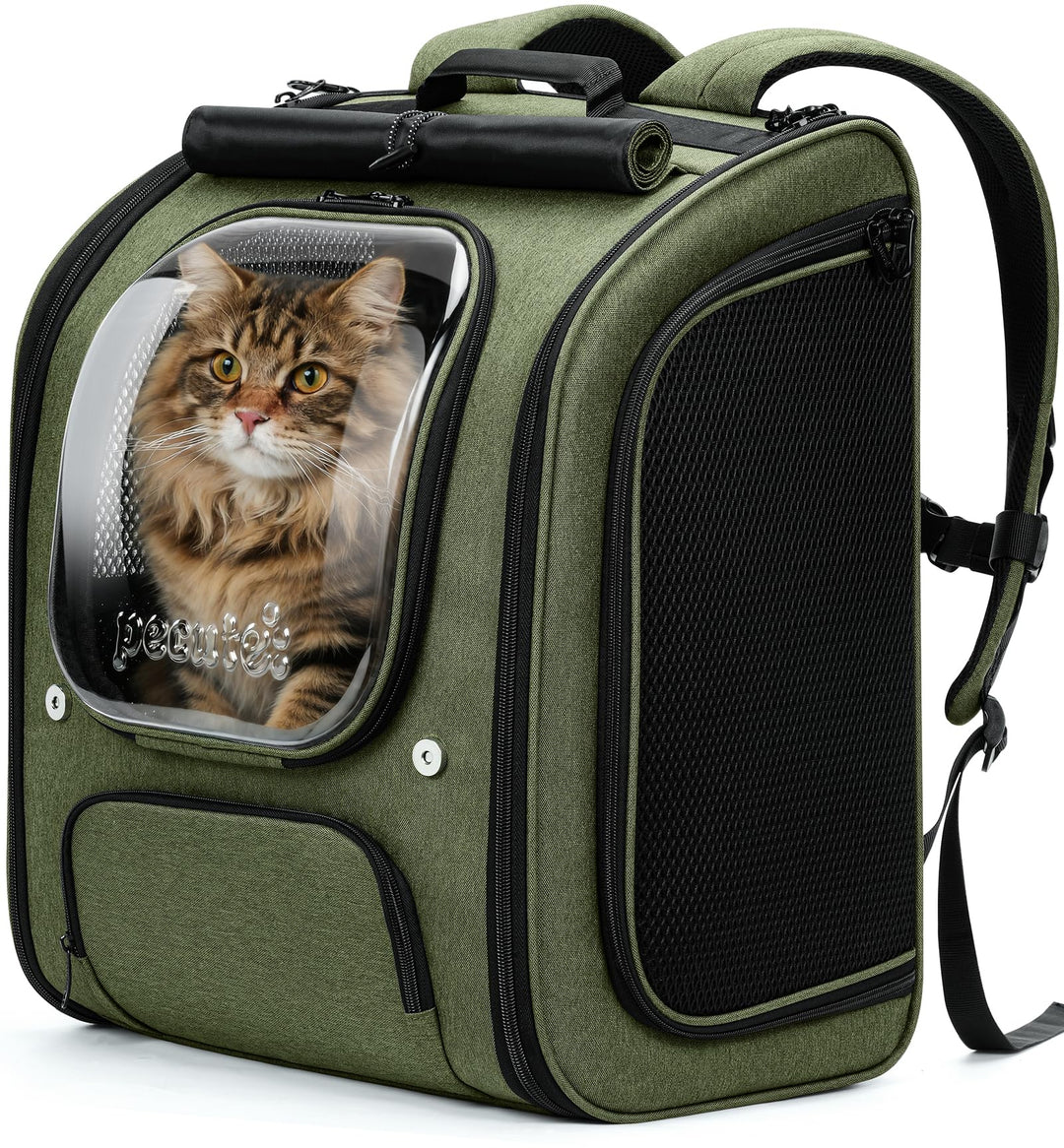 pecute Katzenrucksack Bubble Haustier Rucksack mit Netzfenster, Tragbare und Faltbare Katzentasche,