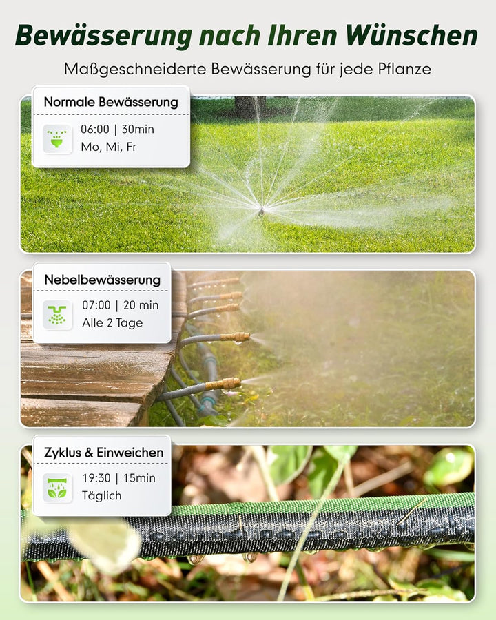 RAINPOINT Bewässerungscomputer WLAN mit Antennengateway, Messing-EIN- und -Auslass, App-/Sprachsteue