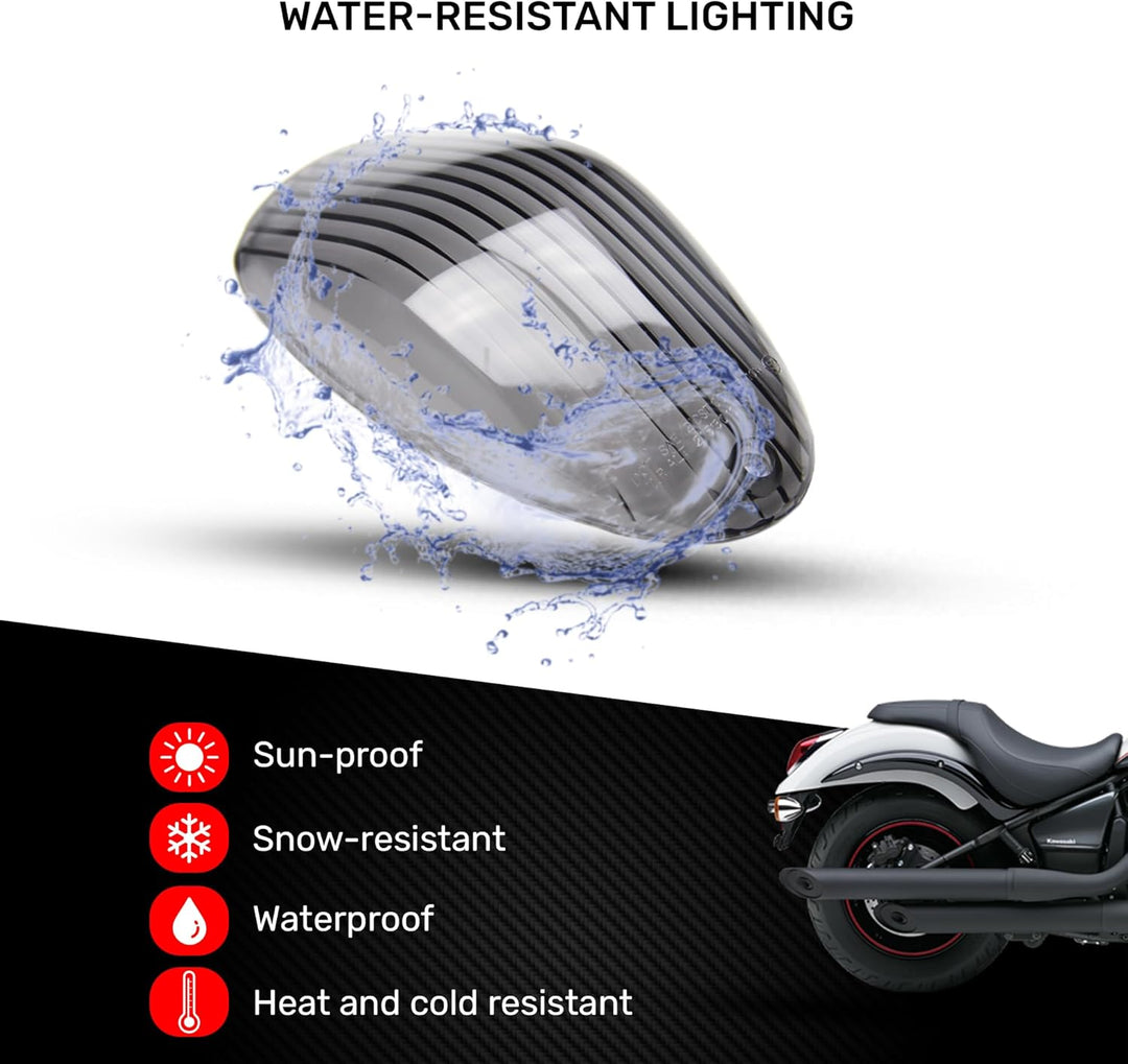 avdb-moto LED-Bremslicht mit integrierten Blinker kompatibel mit Kawasaki Vulcan VN900 (klar), klar