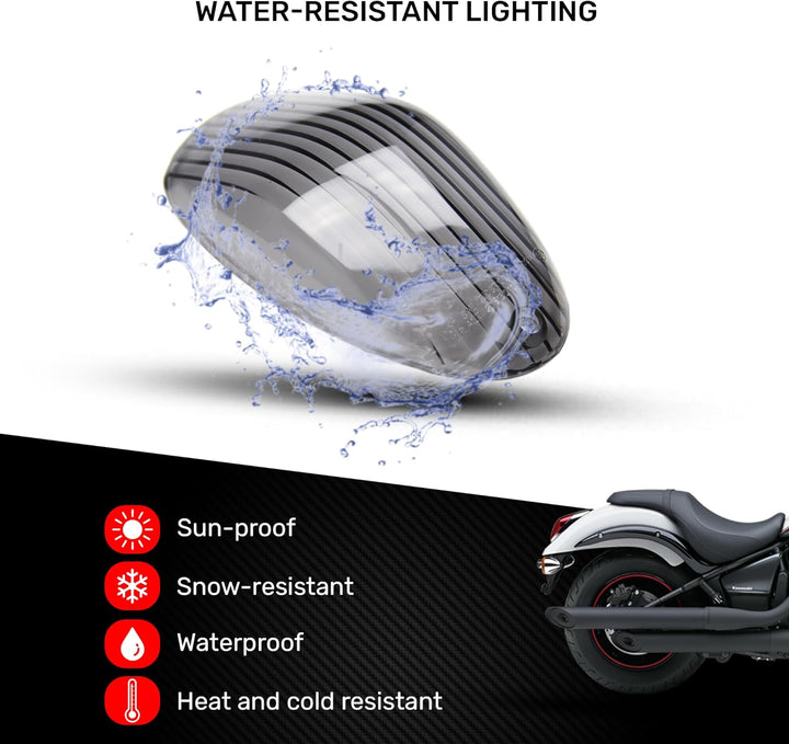 avdb-moto LED-Bremslicht mit integrierten Blinker kompatibel mit Kawasaki Vulcan VN900 (klar), klar
