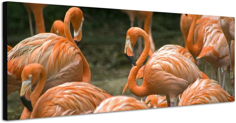 Paul Sinus Art Panoramabild auf Leinwand und Keilrahmen 150x50cm Räder Speichen schwarz weiss