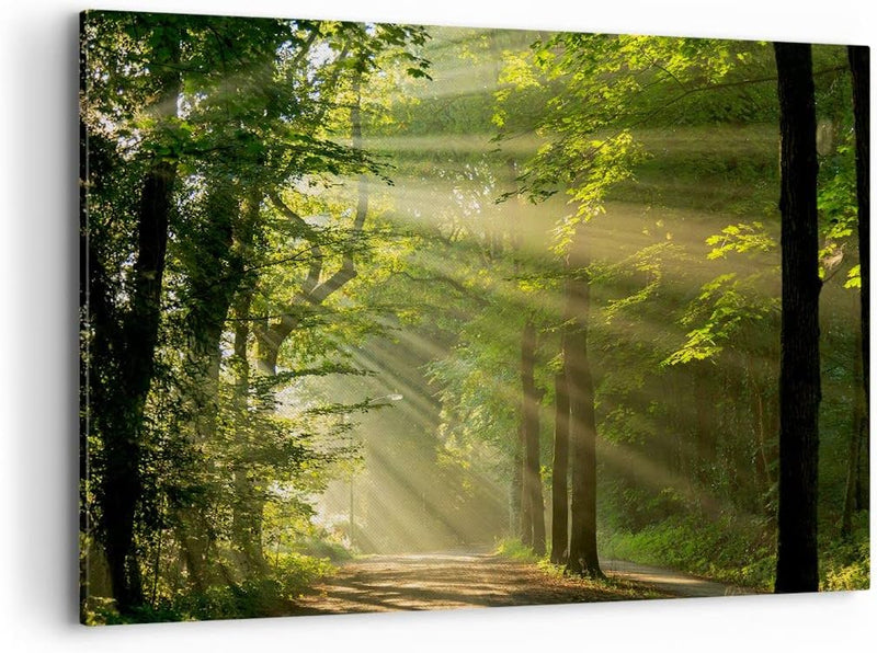 Bilder auf Leinwand 100x70cm Leinwandbild mit Rahmen Wald Baum Natur Gross Wanddeko Bild Schlafzimme