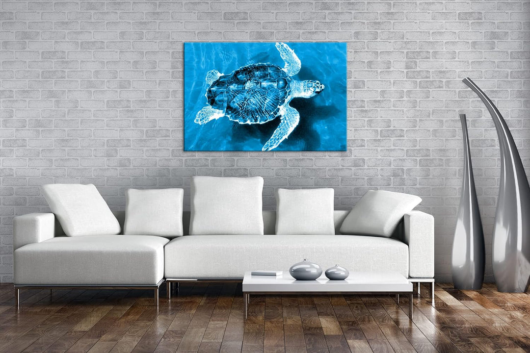 deyoli liebenswerte Schildkröte Format 80x60 Effekt: Monocrome Blau als Leinwandbild, Motiv fertig g