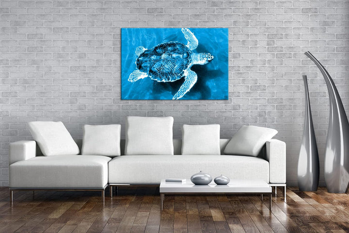 deyoli liebenswerte Schildkröte Format 80x60 Effekt: Monocrome Blau als Leinwandbild, Motiv fertig g