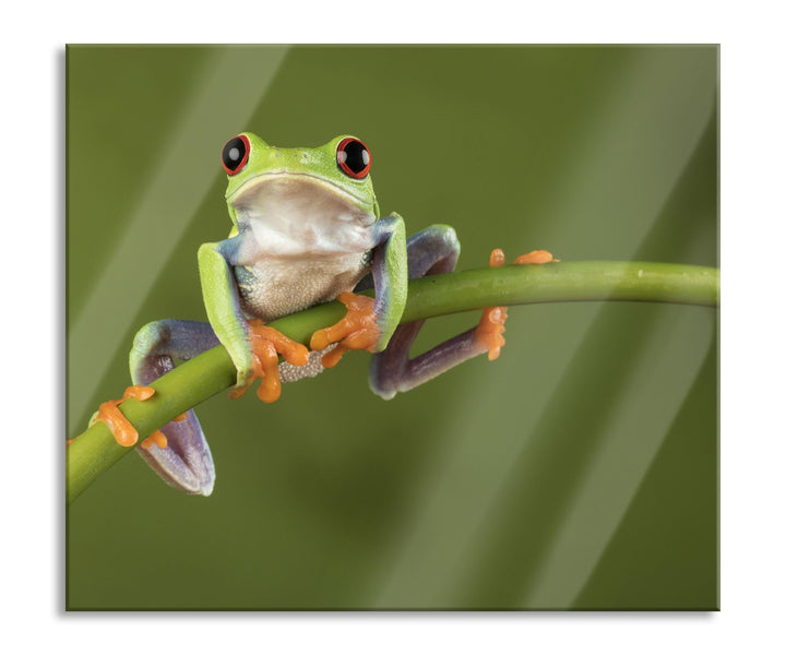 Baum-Frosch auf Bambus Herdabdeckplatte & Spritzschutz aus Echtglas | Für Herd-Kochfelder | 60x52 cm