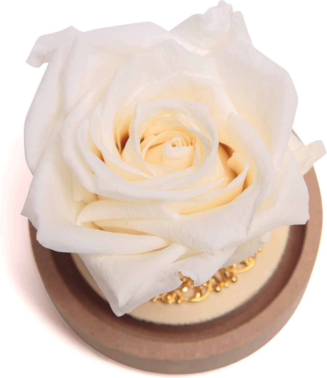 ROSEMARIE SCHULZ Heidelberg Infinity Rose im Glas echte langlebige Rose in Glaskugel rund (Large, We