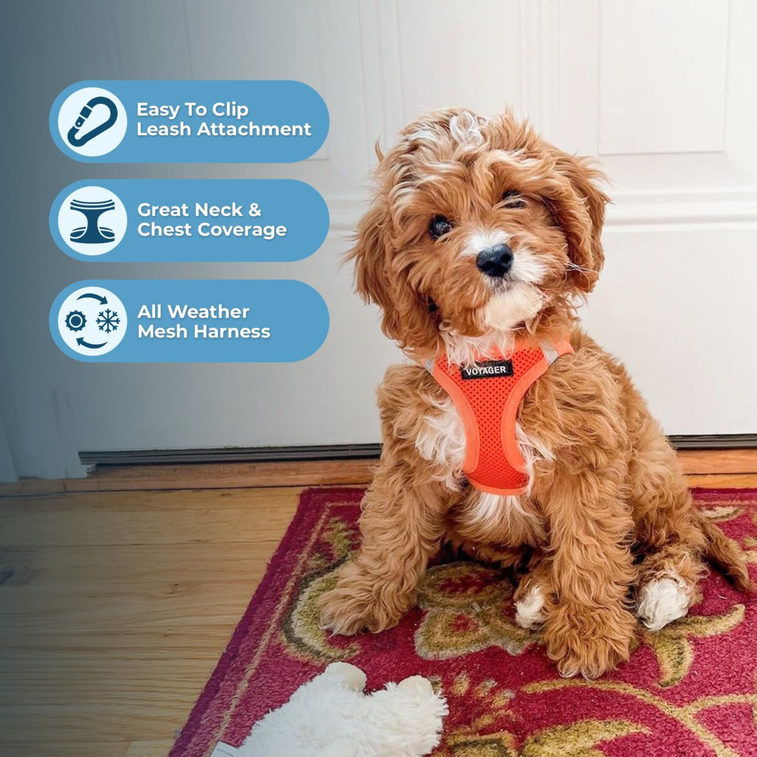Voyager Step-In Air Hundegeschirr by Best Pet Supplies - All Weather Mesh Step in Vest Harness für k