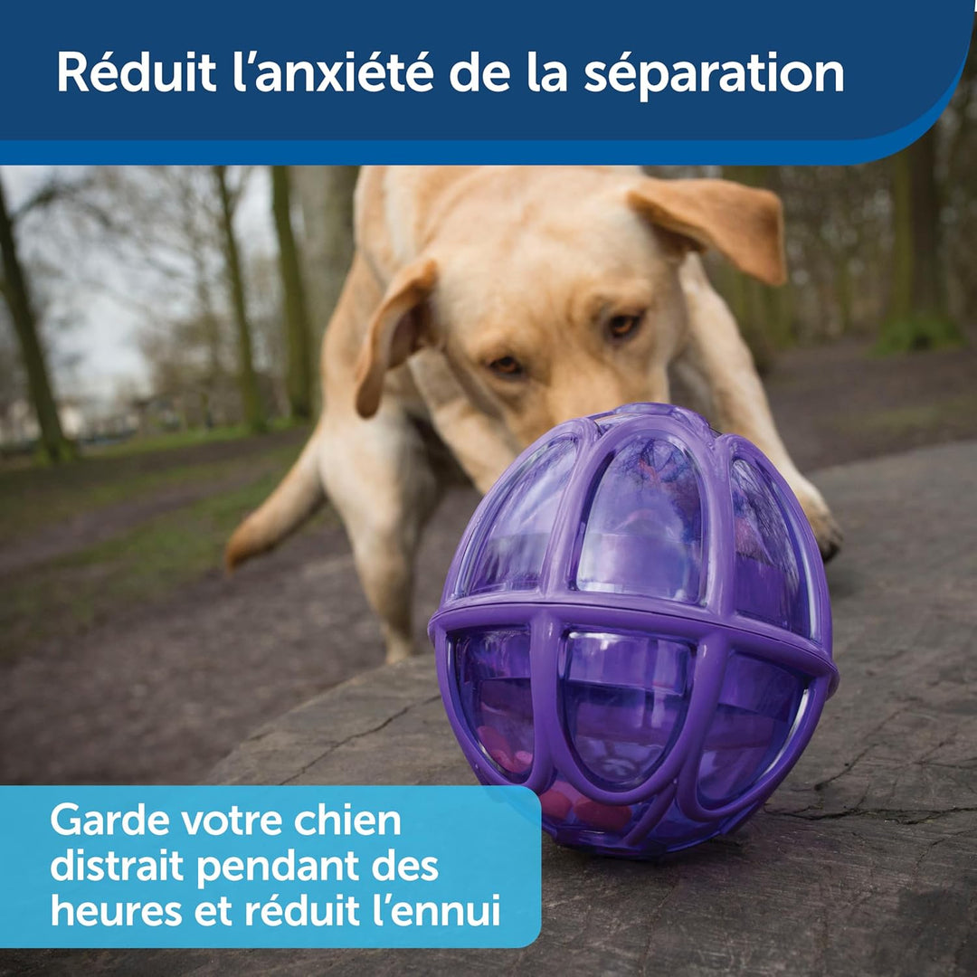 PetSafe Kibble Nibble Hunde-Snackspielzeug für Leckerlis und Trockenfutter, Spülmaschinenfest, BPA-f