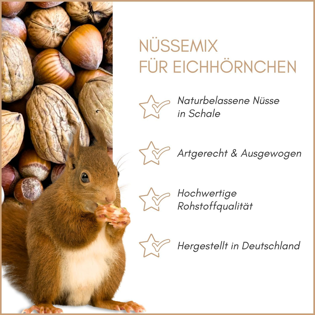 Supravit Frische Nüsse-Mix Eichhörnchen Futter 1kg | Futter für Eichhörnchen mit Haselnüsse, Walnüss