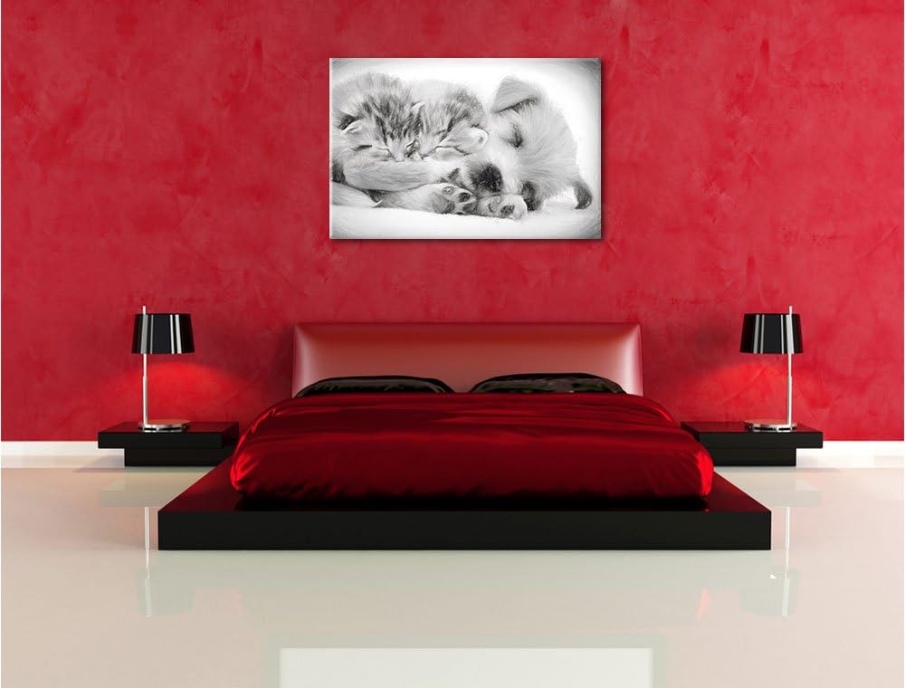 Pixxprint Hundewelpe mit kleinen Kätzchen als Leinwandbild/Grösse: 100x70 cm/Wandbild/Kunstdruck/fer