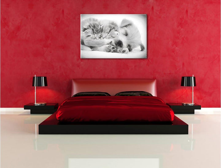 Pixxprint Hundewelpe mit kleinen Kätzchen als Leinwandbild/Grösse: 100x70 cm/Wandbild/Kunstdruck/fer