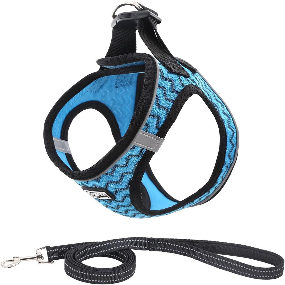 Suredoo Hundegeschirr mit Leine, Anti Zug Geschirr Reflektierend Brustgeschirr für Kleine Hunde, Hau