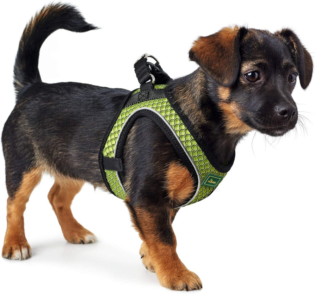 HUNTER HILO COMFORT Geschirr für kleine Hunde mit Netzmaterial und reflektierenden Elementen, limett